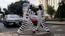 Unik, Zebra Cross di Bolivia Menyapa Pengendara Unik, Zebra Cross di Bolivia Menyapa Pengendara