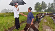 Pengamat: Jokowi Agresif Kunjungi Basis Lawan Pengamat: Jokowi Agresif Kunjungi Basis Lawan